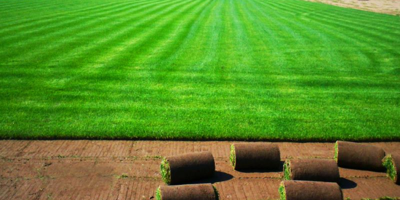 İstanbul Rulo Çim Satışı ve Uygulama