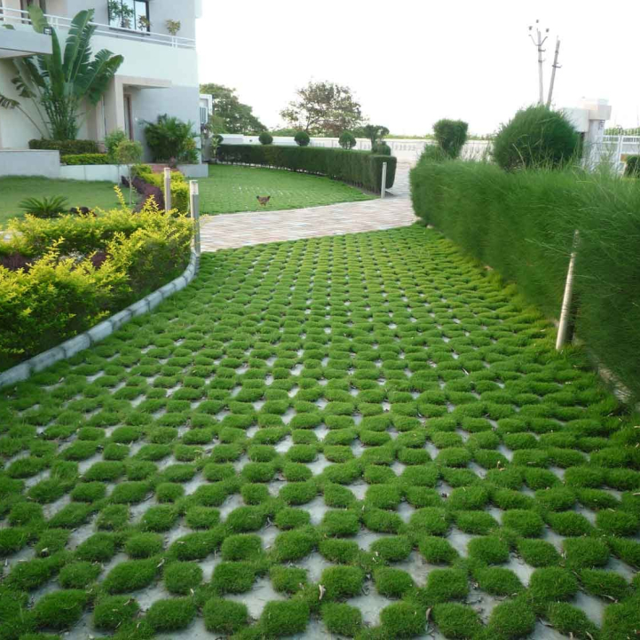 Bahçe Yenileme Bahçe Yenileme