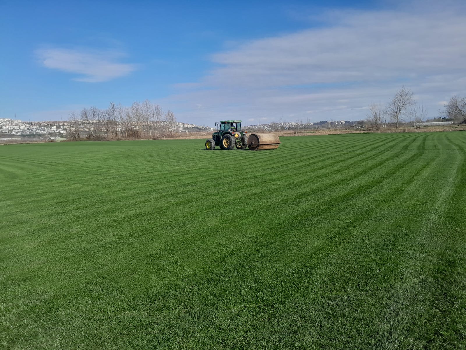 Üreticiden Hazır Rulo Çim